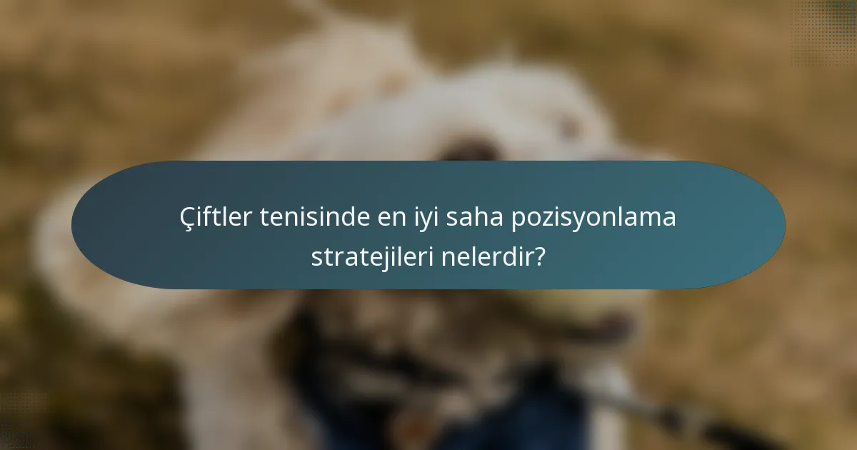 Çiftler tenisinde en iyi saha pozisyonlama stratejileri nelerdir?